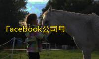 Facebook公司号购买全流程解析