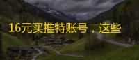 16元买推特账号，这些店铺评分有猫腻