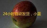 24小时自动发货，小蓝鸟号购买指南来了