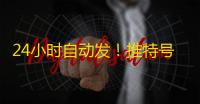 24小时自动发！推特号购买独享id秒到