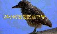 24小时发货的脸书号，注册难题轻松解
