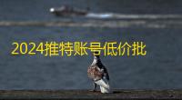 2024推特账号低价批发教程，自动发货