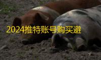 2024推特账号购买避雷指南，国外ID自助