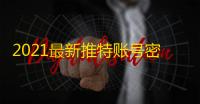 2021最新推特账号密码，一键获取